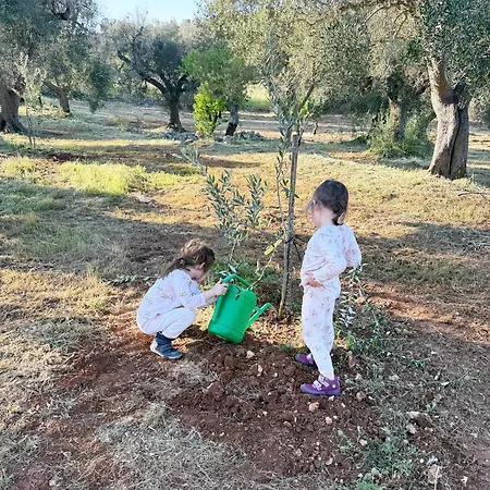 Trullo Trulala In Nature Between & Ceglie オストゥーニ